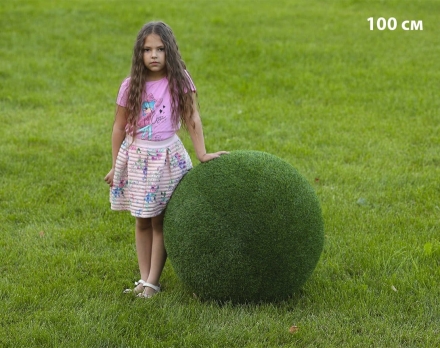 Топиари Шар в виде куста туи, 50 см - газон Eco, фото 3