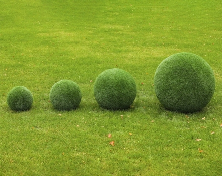 Топиари Шар в виде куста туи, 50 см - газон Eco, фото 4