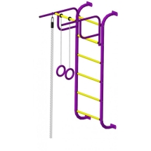 Детский спортивный комплекс (ДСК) &quot;Пионер 7&quot;, пурпурно-желтый