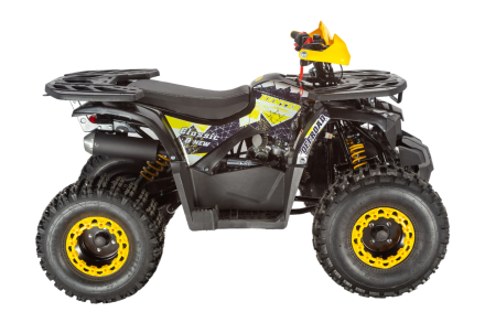 Квадроцикл AVANTIS Classic 8 New, фото 4