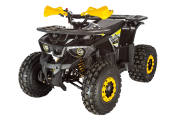 Квадроцикл AVANTIS Classic 8 New, фото 1