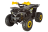Квадроцикл AVANTIS Classic 8 New