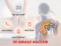 Массажное кресло FUJIMO QI F633 Business Edition Эспрессо Массажное кресло FUJIMO QI F633 Business Edition Эспрессо