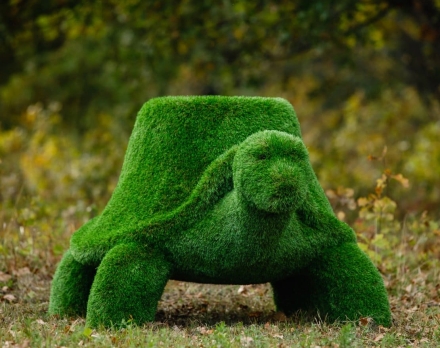 Топиари Черепаха с кашпо, Мудрая газон Deluxe, фото 11