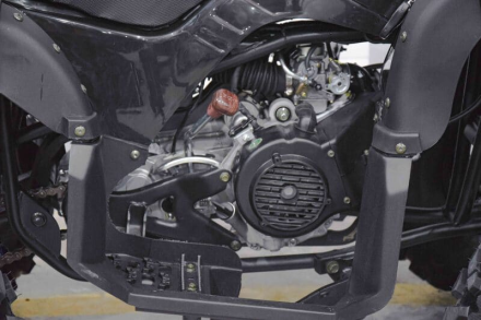 Квадроцикл GRIZZLY 200, фото 12