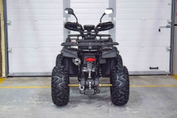 Квадроцикл GRIZZLY 200, фото 5