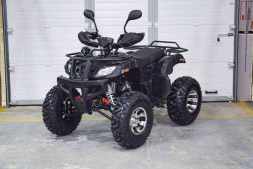 Квадроцикл GRIZZLY 200, фото 1