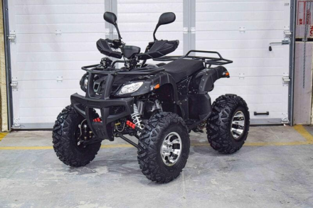 Квадроцикл GRIZZLY 200, фото 1