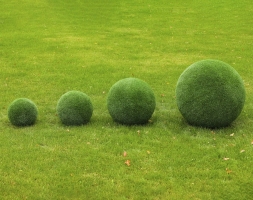 Топиари Шар в виде куста туи, 70 см - газон Eco, фото 5