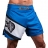 Шорты Hayabusa hayshorts079