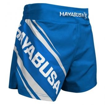 Шорты Hayabusa hayshorts090, фото 1