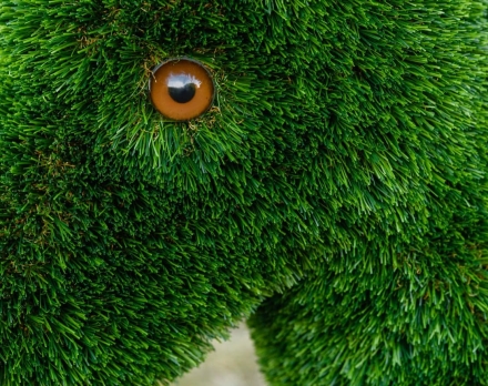 Топиари Ослик с кашпо газон Eco, фото 14