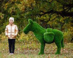 Топиари Ослик с кашпо газон Eco, фото 6