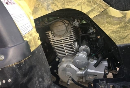 Квадроцикл MOTOLAND 250 Adventure (2021 Г.), фото 11