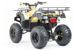 Квадроцикл MOTOLAND 250 Adventure (2021 Г.), фото 6 Квадроцикл MOTOLAND 250 Adventure (2021 Г.), фото 6