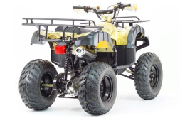 Квадроцикл MOTOLAND 250 Adventure (2021 Г.), фото 5 Квадроцикл MOTOLAND 250 Adventure (2021 Г.), фото 5