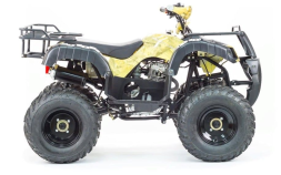 Квадроцикл MOTOLAND 250 Adventure (2021 Г.), фото 4 Квадроцикл MOTOLAND 250 Adventure (2021 Г.), фото 4