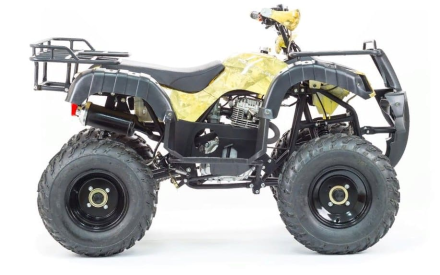 Квадроцикл MOTOLAND 250 Adventure (2021 Г.), фото 4