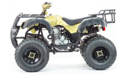 Квадроцикл MOTOLAND 250 Adventure (2021 Г.), фото 3 Квадроцикл MOTOLAND 250 Adventure (2021 Г.), фото 3