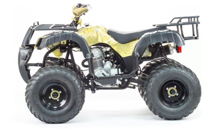 Квадроцикл MOTOLAND 250 Adventure (2021 Г.), фото 3