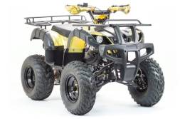 Квадроцикл MOTOLAND 250 Adventure (2021 Г.), фото 2 Квадроцикл MOTOLAND 250 Adventure (2021 Г.), фото 2