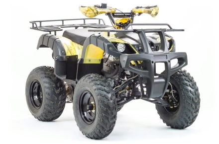 Квадроцикл MOTOLAND 250 Adventure (2021 Г.), фото 2