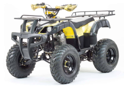 Квадроцикл MOTOLAND 250 Adventure (2021 Г.), фото 1 Квадроцикл MOTOLAND 250 Adventure (2021 Г.), фото 1