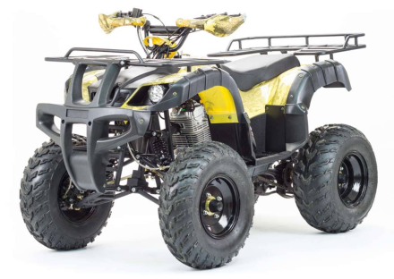 Квадроцикл MOTOLAND 250 Adventure (2021 Г.), фото 1