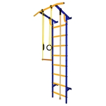 ДСК - Лидер С-01 пристенный, сине-желтый