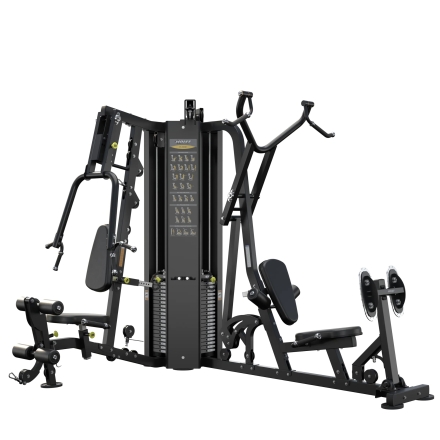 Многофункциональный комплекс HOIST H-2200, фото 1