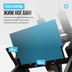 Жим ногами/Гакк-присед OXYGEN FITNESS HADLEY, фото 16