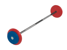 Штанга неразборная "Barbell" с цветными дисками d 25 мм, 20 кг Штанга неразборная "Barbell" с цветными дисками d 25 мм, 20 кг