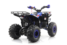 Квадроцикл MOTAX Grizlik A125