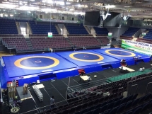 Помост для борьбы на три ковра 41,5х15,5х0,8 м СТ-180