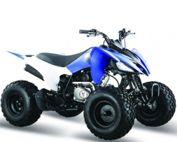 Квадроцикл МОТОМИР Pantera 125, фото 1 Квадроцикл МОТОМИР Pantera 125, фото 1