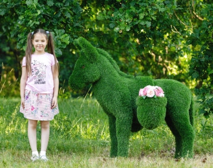 Топиари Ослик с кашпо газон Premium, фото 2