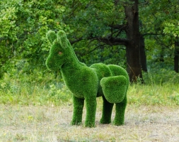 Топиари Ослик с кашпо газон Premium, фото 11