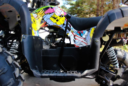 Квадроцикл GRIZZLY Pro 125cc, фото 7