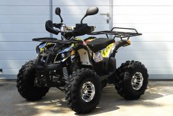 Квадроцикл GRIZZLY Pro 125cc, фото 2