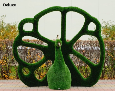 Топиари павлин Королевский - газон Deluxe, фото 1