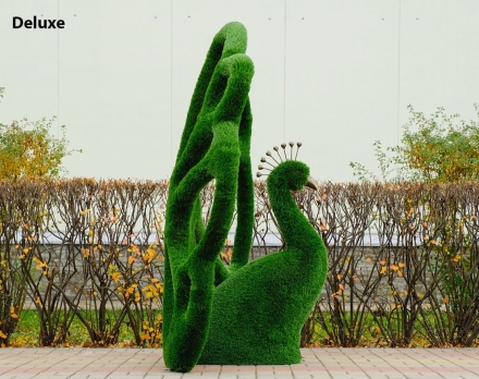 Топиари павлин Королевский - газон Deluxe, фото 3