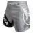 Шорты Hayabusa hayshorts091