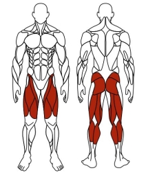 Приседания (серый) - Уличный тренажер - СТ 025-13.П, фото 6