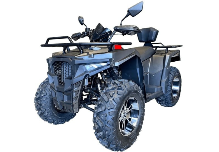 Квадроцикл IRIDE Wolf 300, фото 1