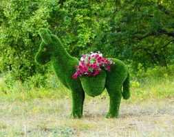 Топиари Ослик с кашпо газон Deluxe, фото 4