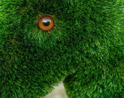 Топиари Ослик с кашпо газон Deluxe, фото 6