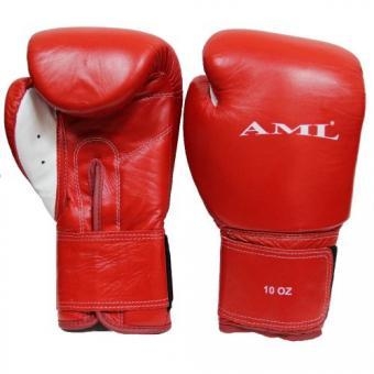 Перчатки боксерские AML с логотипом, фото 1