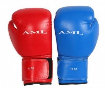 Перчатки боксерские AML с логотипом, фото 2