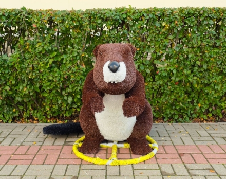 Топиари бобер Вин - газон Eco, фото 2