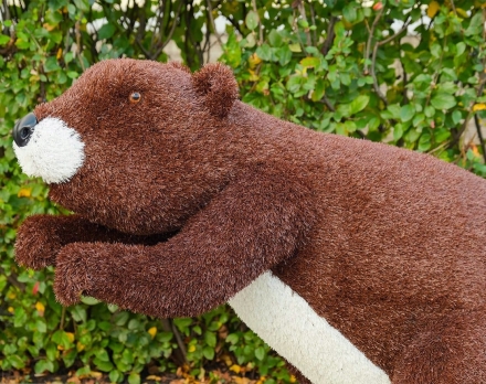 Топиари бобер Вин - газон Eco, фото 3